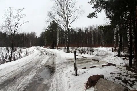 Санкт петербург дорога в каменку
