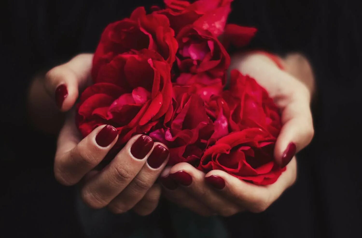 руки держав розы