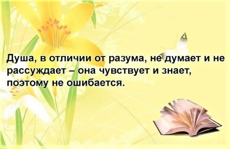 Душа в отличие от разума не думает. Душа в отличии от разума не рассуждает. Душа в отличие от разума. Отличия души и разум что это такое. Слова думать размышлять