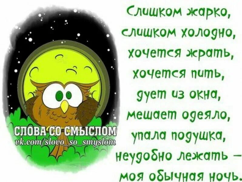 Картинки для статуса со смыслом в whatsapp. Смешные цитаты со смыслом. Слова со смыслом прикольные. Прикольные картинки со смыслом. Весёлые статусы со смыслом.