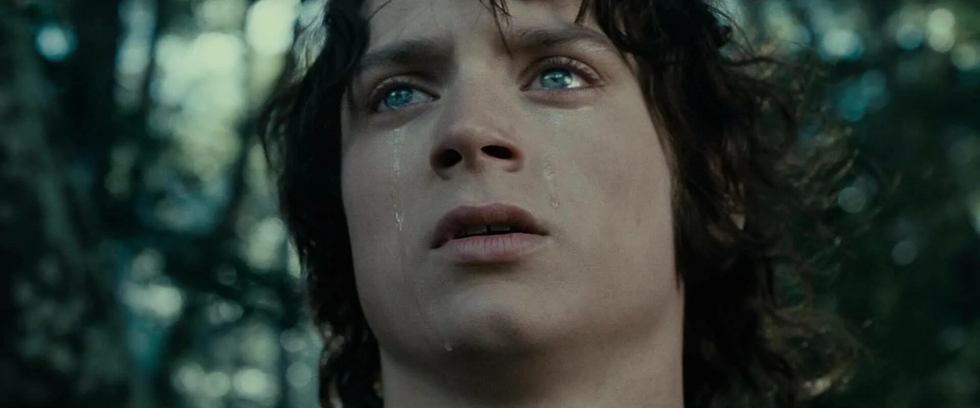 Элайджа Вуд Фродо. Фродо Бэггинс плачет. Элайджа Вуд Хоббит. Фродо грустный. Слушать колец 3
