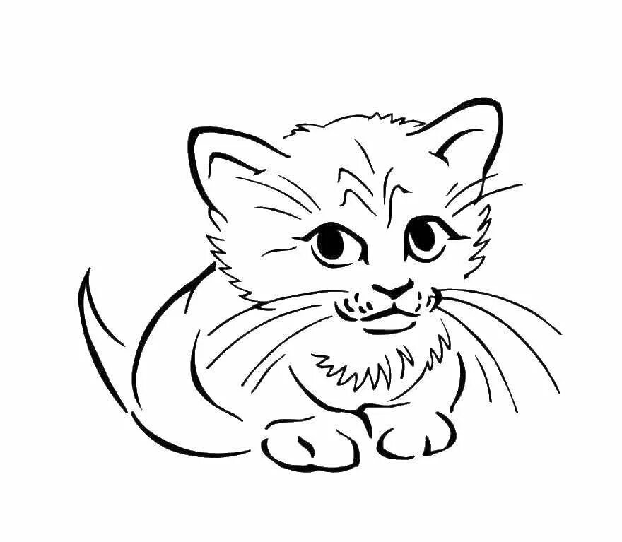 Котенок рисунок. Раскраска кот. Кошка раскраска для детей. Котенок. Раскраска. Картинки котят раскраски.
