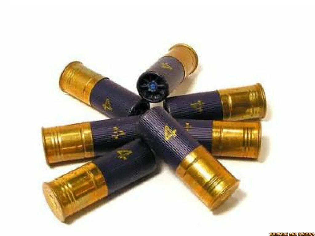 патроны 18 калибра на гуся. пуля для ружья. пуля для ружья. оружейная дробь. пули для охотничьего ружья 16 калибра.