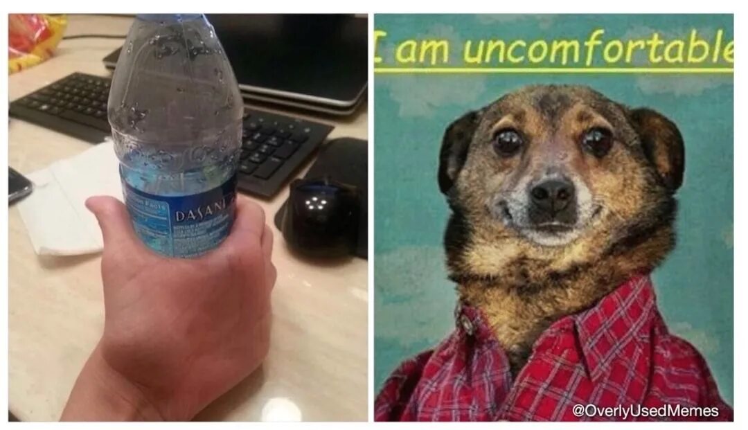 Frustrating и frustrated разница. To feel uncomfortable. I feel uncomfortable meme. Мне некомфортно собака. Feel uncomfortable at the party.