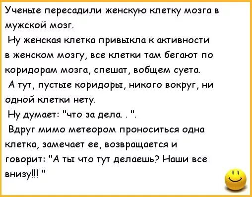 Анекдот про мозги. Анекдот про мужской мозг. Шутки про мужской мозг. Анекдот про мозг женщины. Анекдоты про мозги женские и мужские.