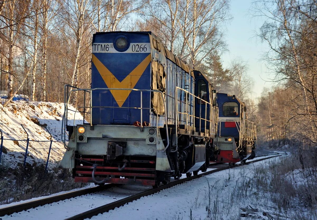 Ппжт ногинск. Тгм6д 0266. Тгм6д ППЖТ Ногинск. Тгм6-0266. Тгм6 тепловоз.