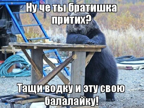 менмное поздравления с др. медведь мем. коль день рождения на дворе желаю я тебе братишка. запахло весной бутырка. бутырка приколы.