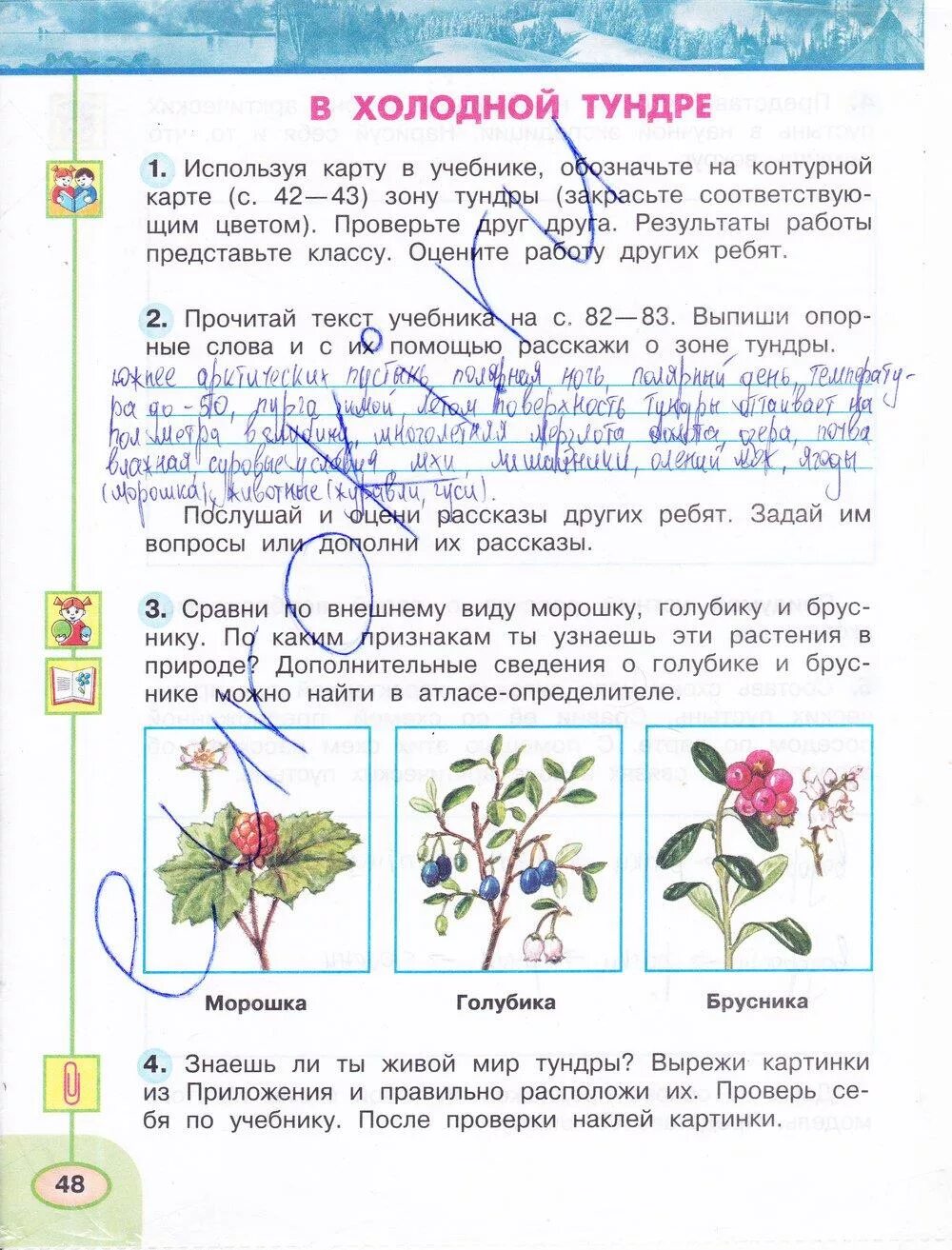 Тетрадь по окружающему 4 класс 1 часть. Окружающий мир 4 класс рабочая тетрадь 1 часть Плешаков Новицкая. Окружающий мир 3 класс рабочая тетрадь 1 часть стр 48 номер 4.