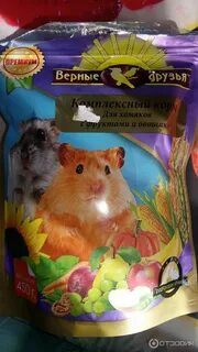Какой хороший корм для хомяка