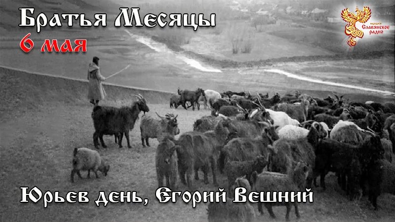 6 мая день в россии. Егорий Вешний Юрьев день 6 мая. Егорьев день праздник. Егорий Вешний праздник. Егорьев Вешний (Юрьев день) 6 мая.