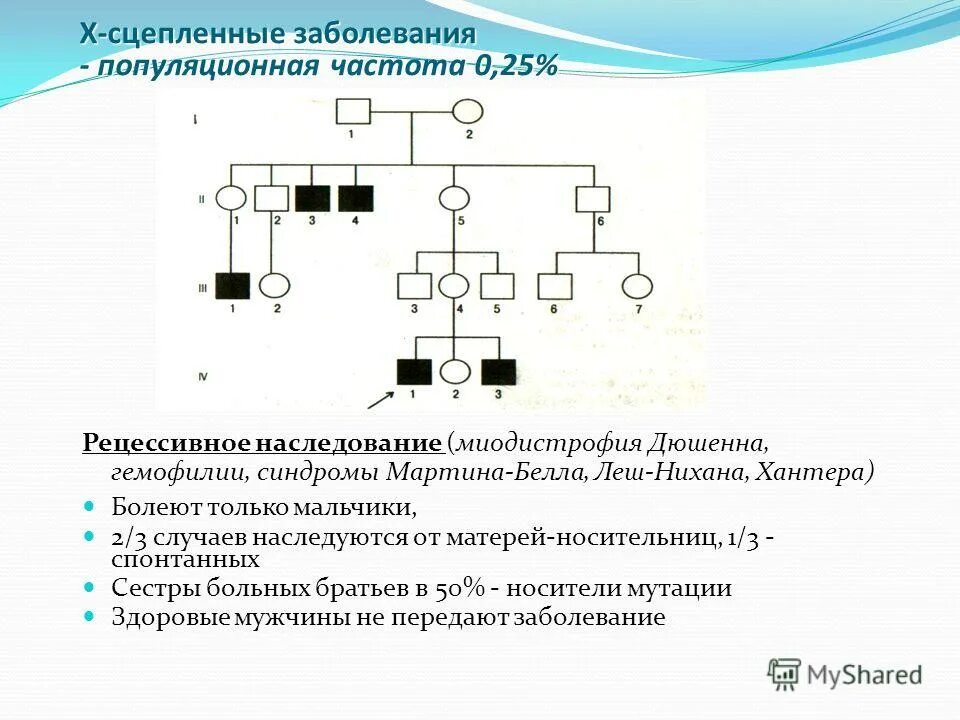 Для рецессивного х сцепленного типа наследования характерно. Для рецессивного х сцепленного типа наследования характерно