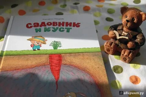 Садовник и куст