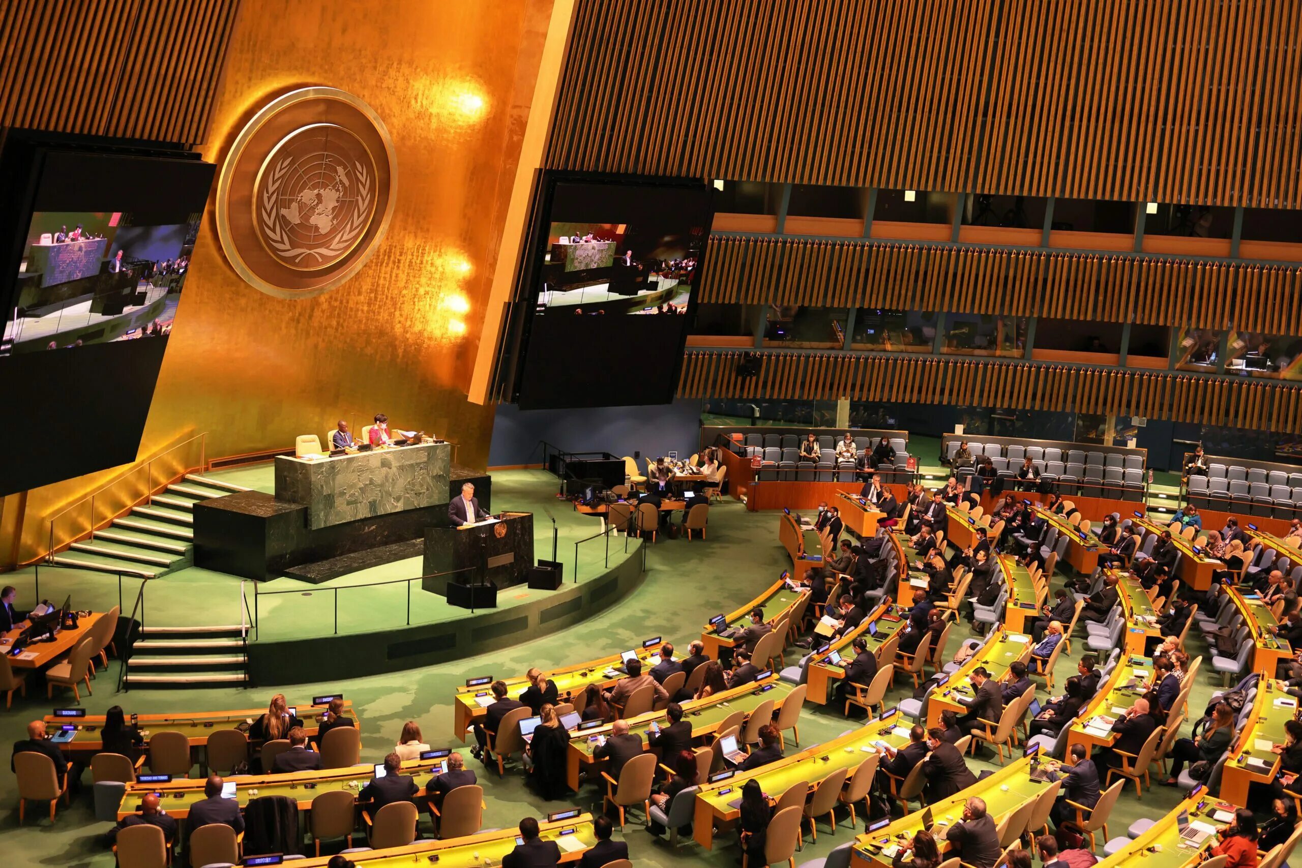 Генассамблея ООН. Генеральная Ассамблея ООН по правам человека. Генеральная Ассамблея ООН 2023. Генеральная Ассамблея ЭКОСОС ООН таблица. Организация объединенных народов