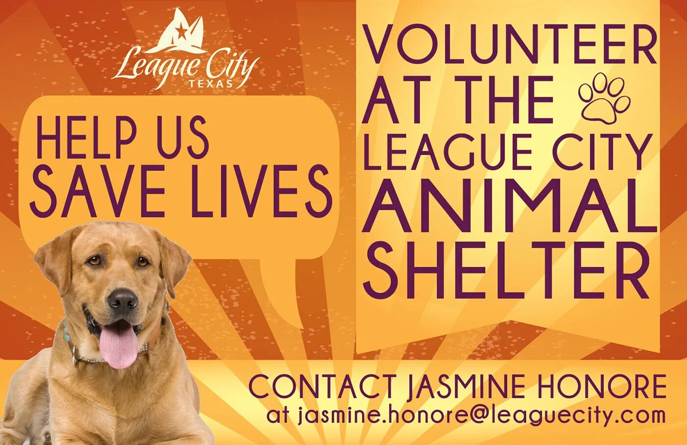 Shelter Volunteer. Austin Dog Shelter advertisement. Animal shelter volunteer