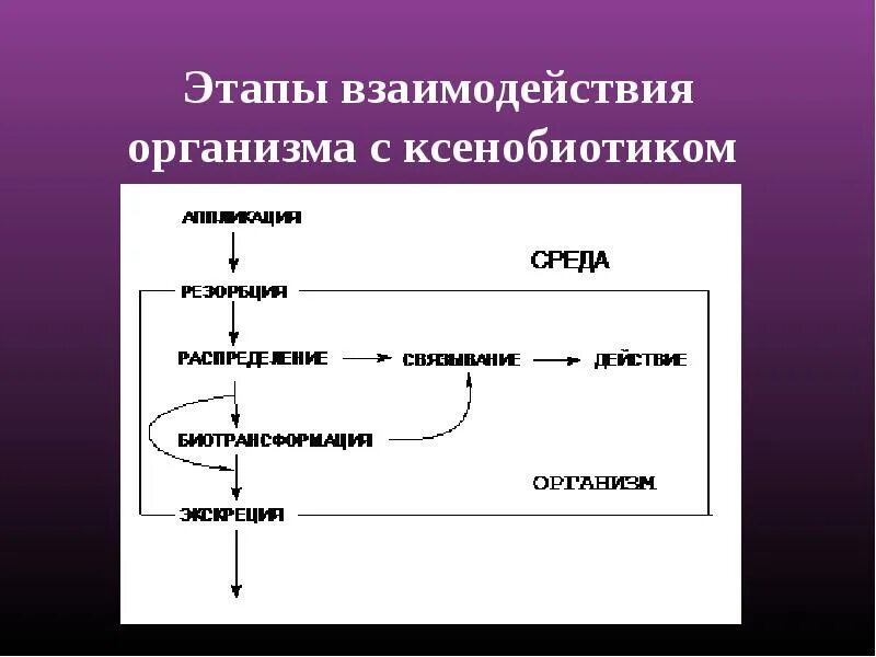 Этапы взаимодействия организма с ксенобиотиком. Этапы взаимодействия. Пути выведения ксенобиотиков. Пути поступления ксенобиотиков в организм. Последовательность этапов взаимодействия