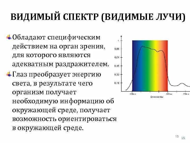 Видимый участок спектра. Специфическое действие на орган зрения видимого излучение. Специфическое действие видимого света. Видимый спектр действие. Видимый свет его действие на организм.