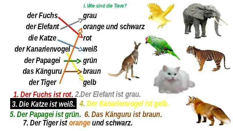 A wie sind die Tiere ответы. Die Tiere презентация. Животные на немецком языке во множественном числе. Задания по немецкому языку die Tiere.