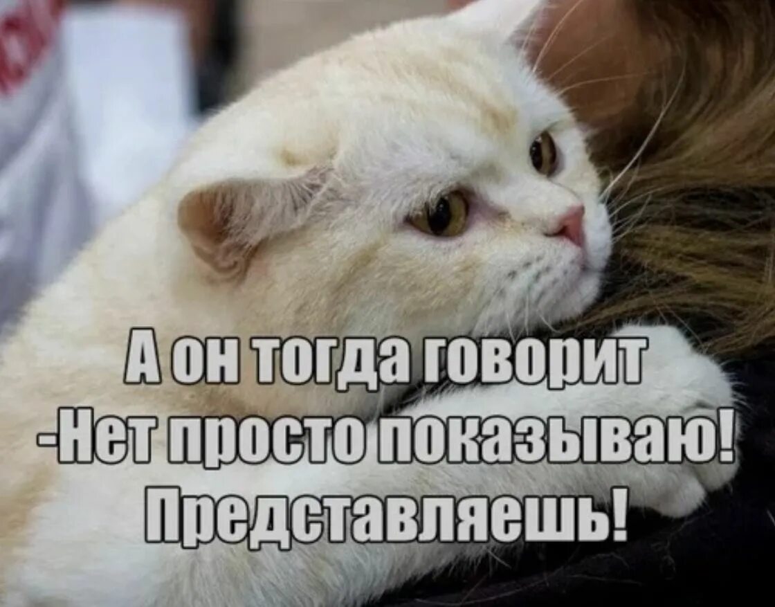 Еще не такое покажется. Покажется же такое фото. Еще не такое покажется. Еще не такое покажется. Тебе показалось прикол.