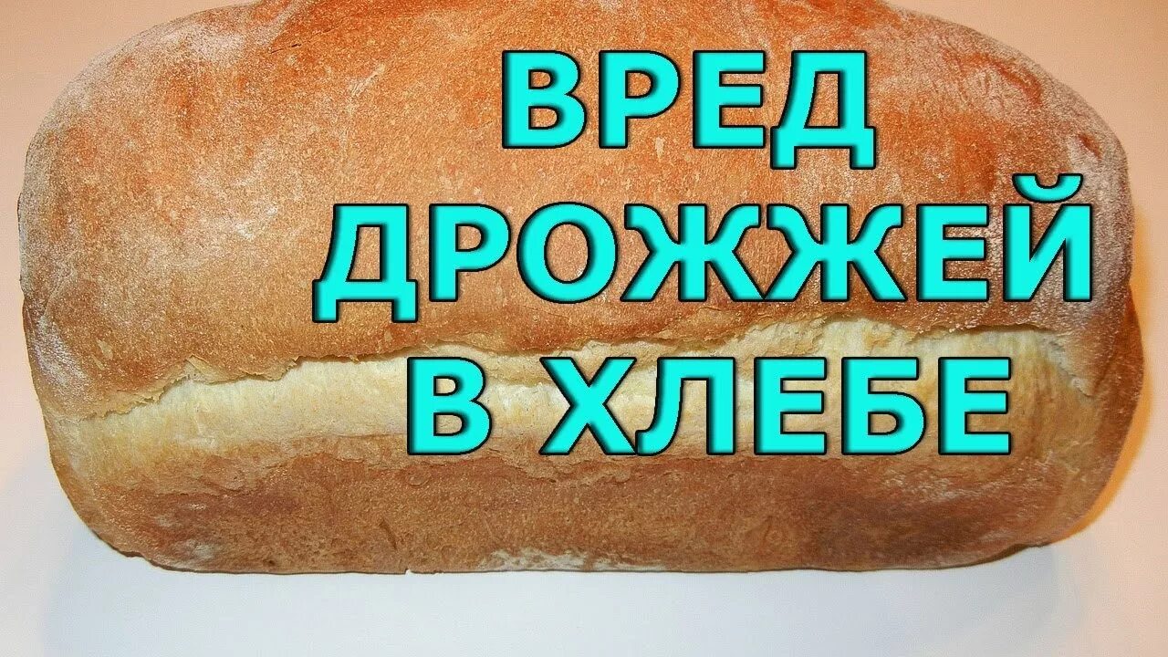 Термофильные дрожжи это. Вред хлеба. Дрожжи хлеб вред. Опасный хлеб. Дрожжи для хлеба.