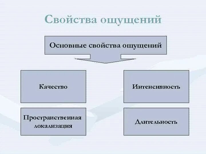 Свойствами ощущений являются. Основные свойства ощущений. Общие свойства ощущений схема. Качество ощущений в психологии. Основные свойства и характеристики ощущений.