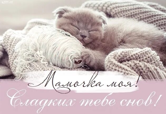 Спокойной ночи картинки красивые. Спокойной ночи мама. Спокойнойночки любимомумужчине. Самых сладких снов. Доброй ночи сладких снов.