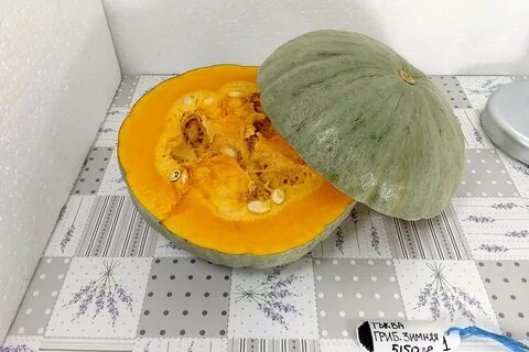 Тыква грибовская