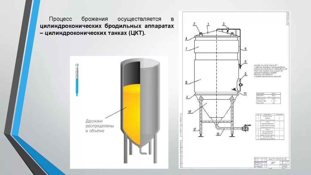Бродильный чан. Цилиндро-конический бродильный танк.