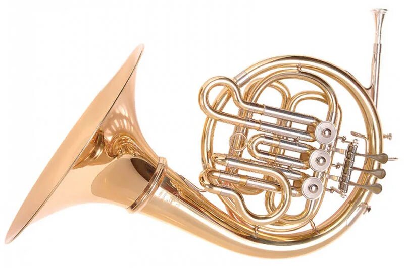 валторна духовой музыкальный. музыкальный инструмент симфонического оркестра валторна. валторна музыкальный инструмент слушать. French horn музыкальный инструмент. валторна духовой музыкальный инструмент.