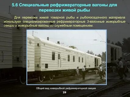 Виолончель перевозится в вагоне поезда