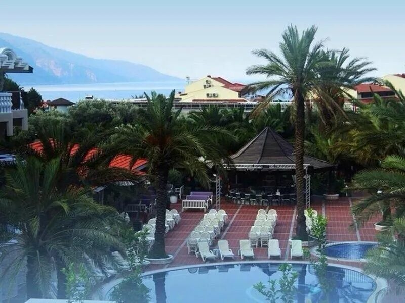 Flamingo hotel oludeniz. Flamingo Spa Олюдениз. Отель Фламинго Олюдениз Турция. Отель Flamingo Hotel 4 Олюдениз. Flamingo Hotel 4 Мармарис.