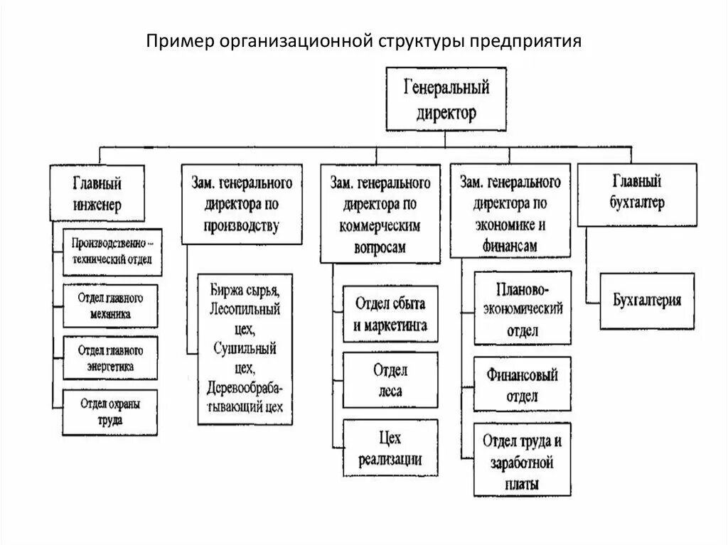 Структура управления предприятием пример