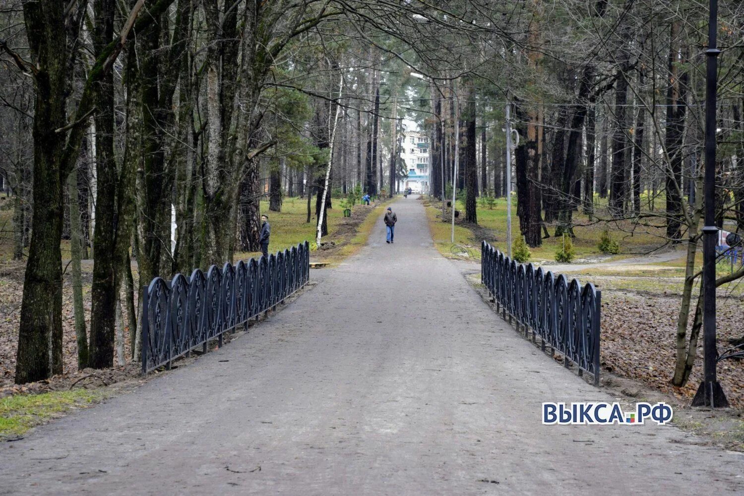 Выксунский парк культуры. Парк «лебединый рай» в выксе, нижегородская область. Где находится парк в выксе. Выкса парк культуры и отдыха фото. Выкса парк культуры и отдыха.