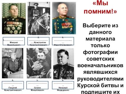 Великие полководцы курской битвы