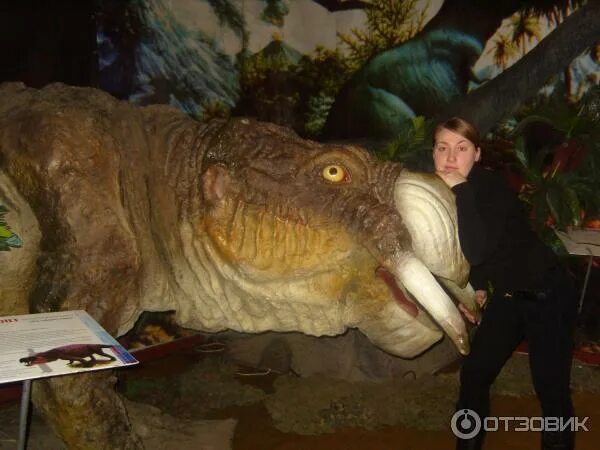 "эра древних гигантов" прокопьевск. Выставка великана омск. Гиганты ледникового периода выставка. Броненосец глиптодон. Выставка гигантов омск.