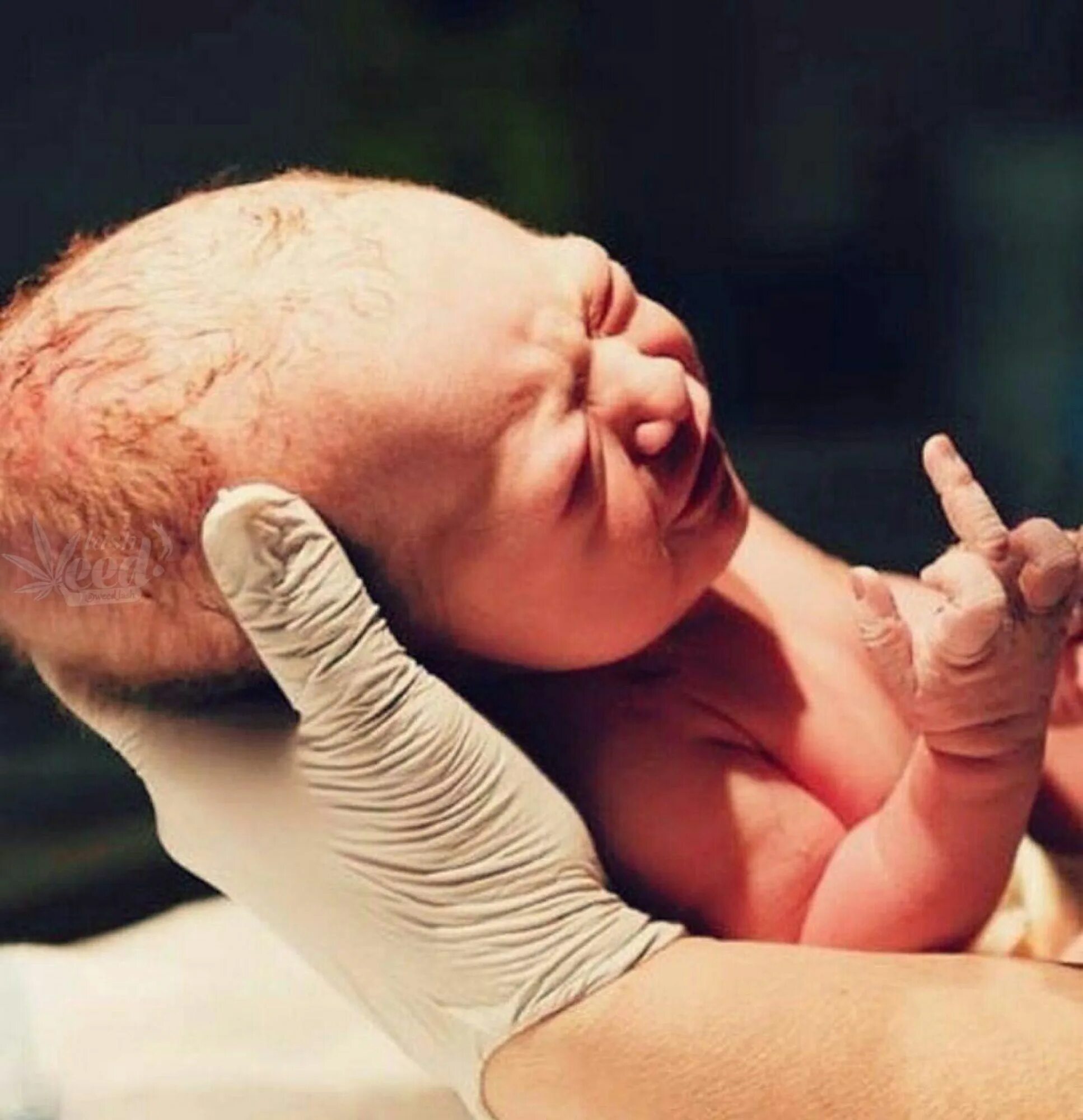 Новорожденный. С новорожденным. Be born. Новорождëнные. This baby 1