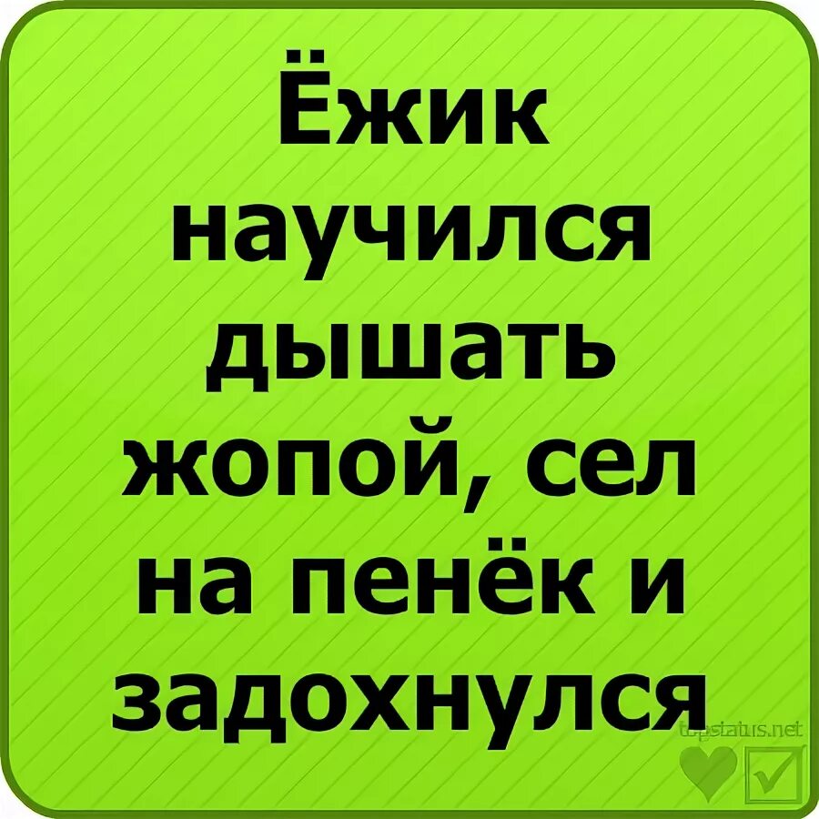 Ежик сел на пенек и задохнулся. Ежик научился дышать попой сел на пенек и задохнулся. ежик научился дышать попой сел. анекдот ежик научился дышать попой сел на пенек и задохнулся. анекдот про ежика который научился дышать попой.
