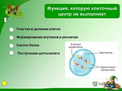 Центр деления