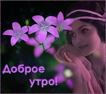 Сайт добрых видео