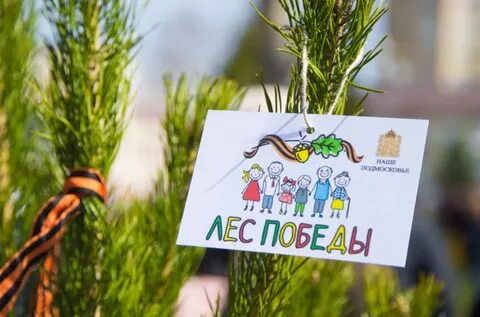 Ешь в подмосковье