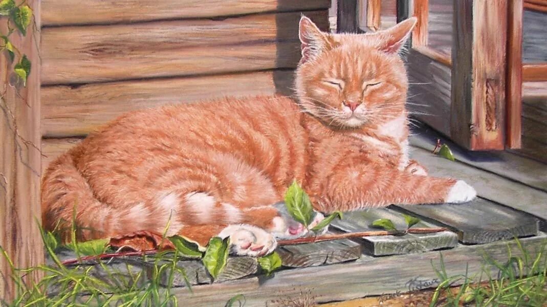 Рыжий кот режим работы. Janet pidoux художник. кошки janet pidoux. художник janet patsy swanborough. рыжий кот живопись.
