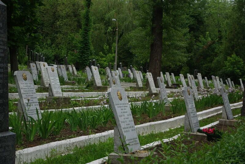 Москва кладбище крематория. Кладбище Кабахаха Новороссийск крематорий. Лискинское кладбище кладбище. Крематорий на морском кладбище Владивосток. План кладбища Кабахаха 1 Новороссийск.