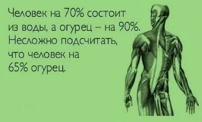 Человек на 75 состоит из воды. Человек огурец. Человек состоит из воды прикол. Человек состоит из огурцов. Человек на 70 процентов состоит из воды а огурец на 90.