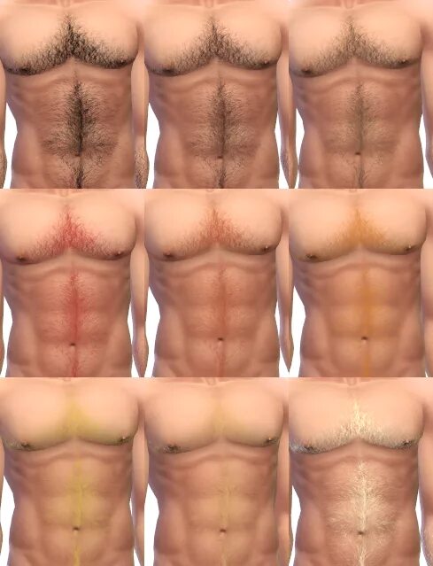 Типы накаченности. Типы пресса. 15 жира в организме. Типы пресса. Типы прессов у мужчин.