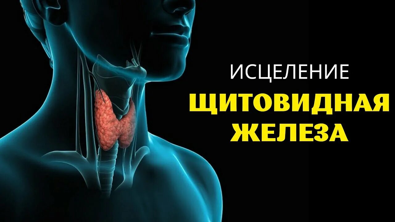 Исцеление щитовидной железы. Щитовидная исцеление. Исцеление щитовидной железы медитация. Исцеление щитовидной железы белый шум. Картина Магеря здоровая щитовидная железа у детей.