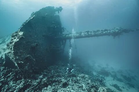 Затонул в красном море