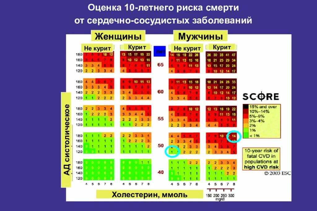 Умирают сердечно сосудистых заболеваний. Факторы сердечно-сосудистого риска. Оценка степени суммарного сердечно-сосудистого риска. Фрамингемская шкала риска сердечно-сосудистых заболеваний. Шкалы стратификация риска сердечно-сосудистых осложнений.