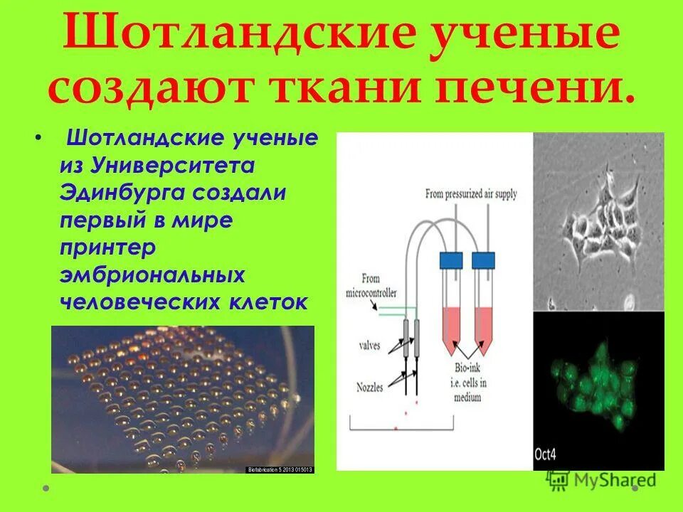 Уильям томсон физик. Какой газ открыл ученый резерфорд?. Натланский ученый. Натланский ученый. Натланский ученый.