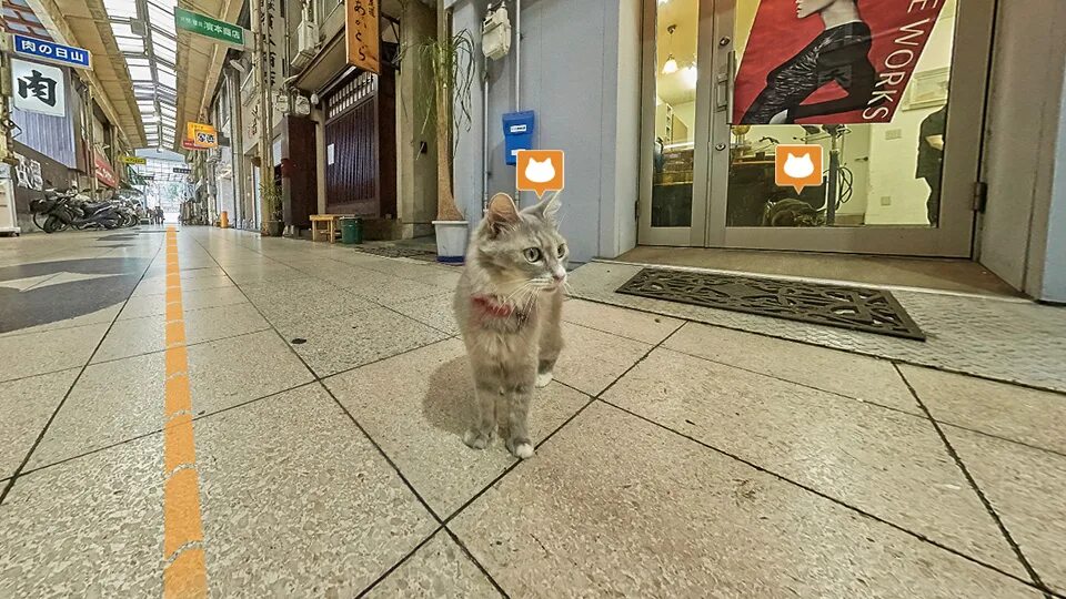 Кот на гугл картах. Город кошек в Японии. Гугл кошка. Кот из гугл карт. Игра a street cat s