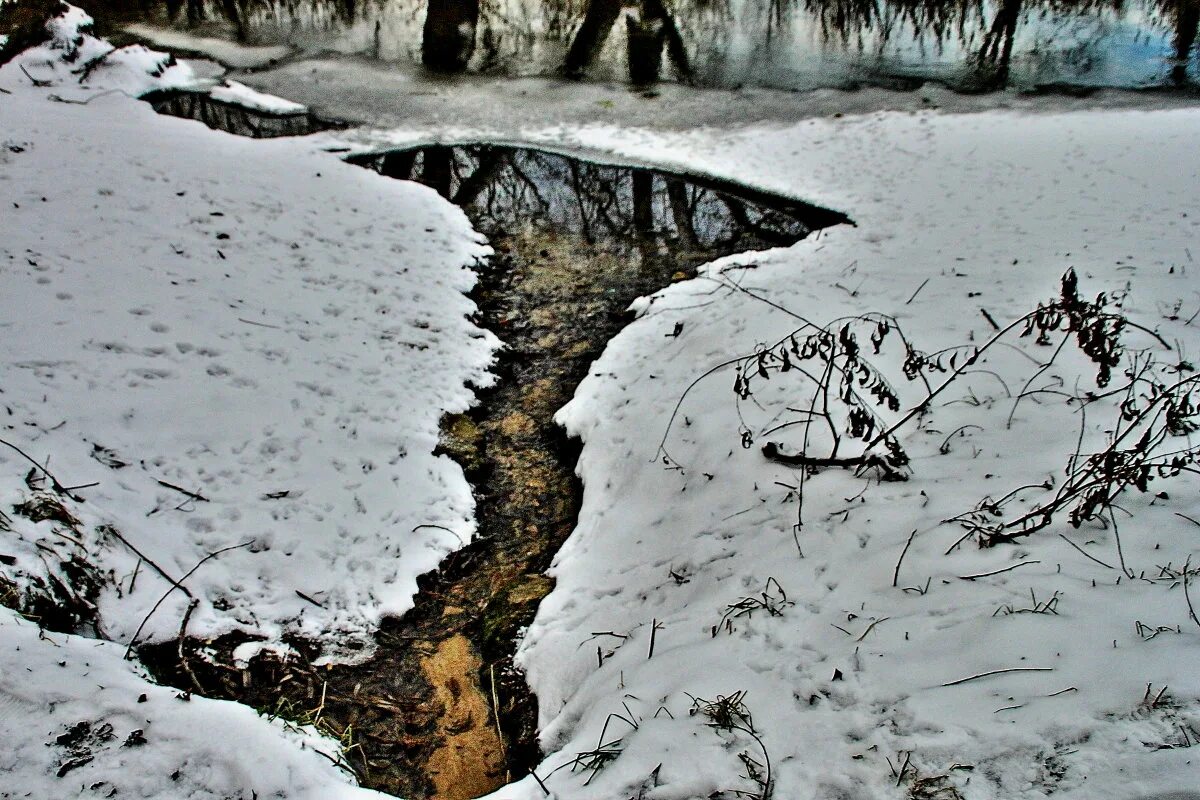 уж весной. природа тютчева весенние воды. белеет снег. а воды уж весной шумят. зашумела весна.