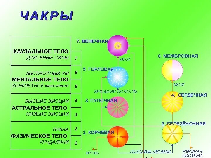 Какие оболочки тела. Что такое ментальное астральное каузальное тело. физическое астральное ментальное тело. чакры астрального тела человека. 5 чакра каузальное тело.